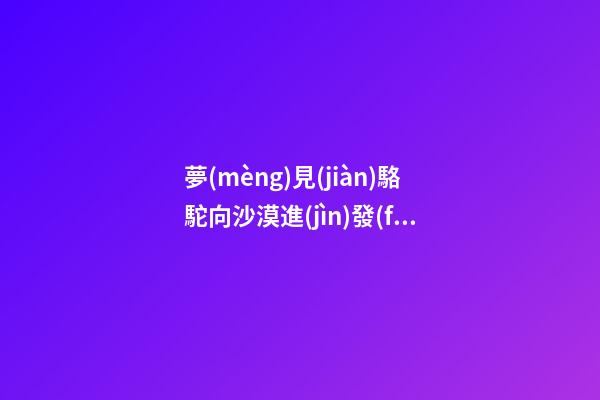 夢(mèng)見(jiàn)駱駝向沙漠進(jìn)發(fā)　周公解夢(mèng)之夢(mèng)到駱駝向沙漠進(jìn)發(fā)